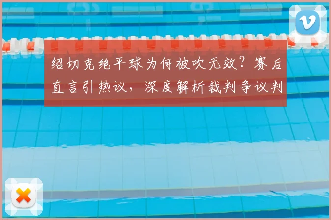 绍切克绝平球为何被吹无效？赛后直言引热议，深度解析裁判争议判罚