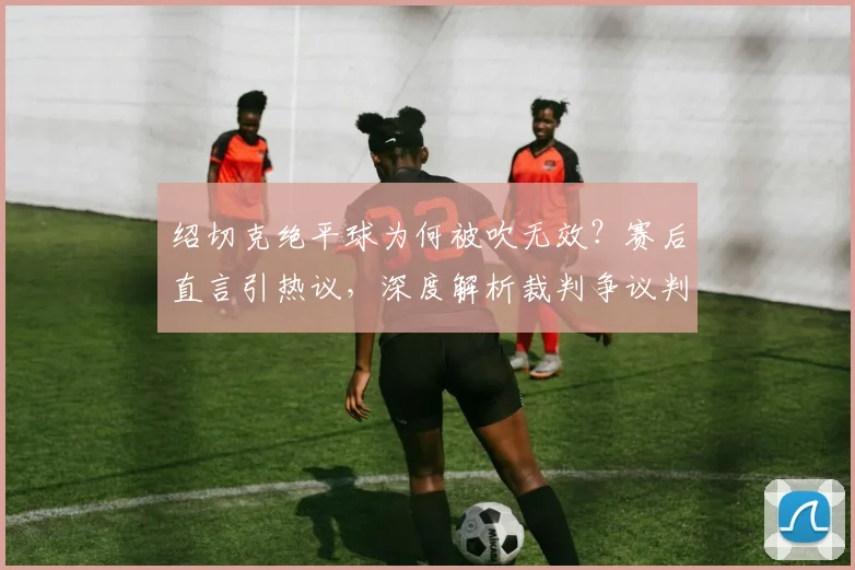 绍切克绝平球为何被吹无效？赛后直言引热议，深度解析裁判争议判罚